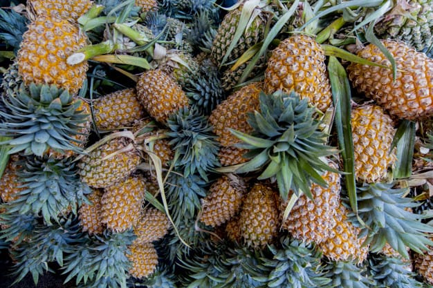 abacaxi ananas